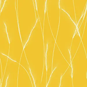 Rural Food Photography Stampe: Wheat cereal ears seamless pattern