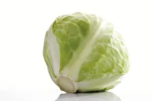 Vegetarian Dish Ideas Stampe: White cabbage