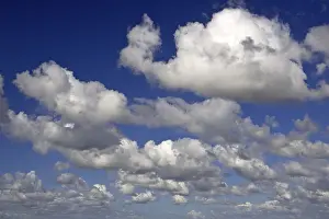 Blue Sky Cumulus Cloud Stampe: White clouds in a blue sky