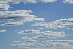 Blue Sky Africa Stampe: White clouds float in the blue sky backdrop