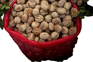 Healthy Eating Walnuts Stampe: White isolated walnut for design and project insertion