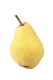 Single Object Studio Photo Stampe: Williams pear