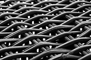 White Studio Background Design Stampe: Willow structure against a white background