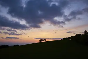 Cloudy Skies Southern Germany Stampe: Wind beeches at sunset with cloudy sky in spring