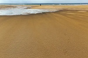 Icelandic Coastal Area Stampe: Wind blowing over structures in the sand