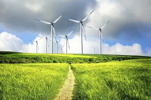 Sustainable Wind Power Stampe: Wind Industry
