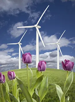 Deserted Skies Stampe: Wind turbines against dramatic sky