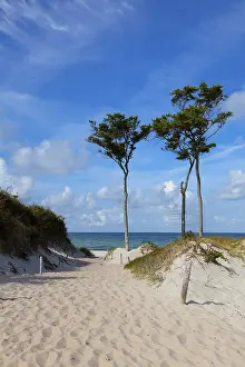 Baltic Sea Landscape Stampe: Windfighter