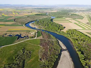 Agricultural Landscape Aerial View Stampe: A winding river, bordered by forests and fields