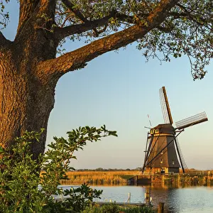 Windmill At Sunset Stampe: Windmill at sunset, Kinderdijk