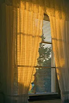 Interior Design Inspiration Stampe: Window in the evening light