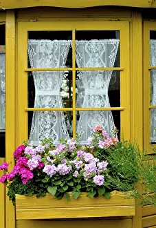Ornamental Flower Garden Stampe: Window with geraniums outside
