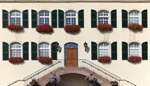 Floral Arrangement Decoration Stampe: WindowFront