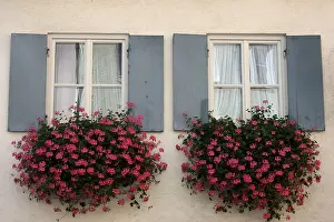 Daytime Architecture Photography Stampe: Windows with flower boxes