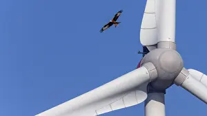 Wind Turbine Generator Stampe: Wings