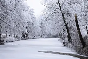 German Countryside Winter Time Stampe: Winter