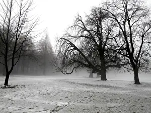 Deserted Winter Landscapes Stampe: Winter