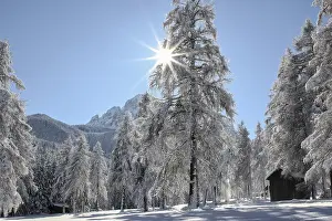 Deserted Winter Wonderland Scene Stampe: Winter