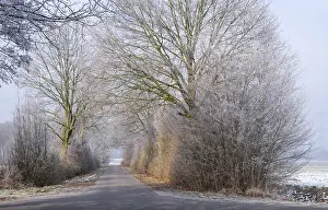 Winter Landscape Photography Stampe: Winter