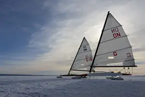 Dummer See Germany Stampe: Winter at Dummer See with
