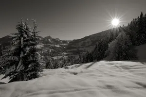 Winter Forest Stampe: Winter forest with mountain range in backlight