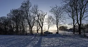 Berlin Winter Landscape Stampe: Winter landscape, fields and fields in Berlin Lubars