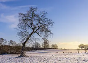 Winter Landscape Berlin Stampe: Winter landscape, fields and fields in Berlin Lubars