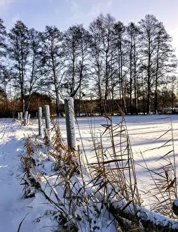 German Countryside In Snow Stampe: Winter landscape, fields and fields in Berlin Lubars