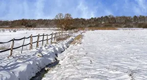 Winter Landscape Berlin Stampe: Winter landscape, fields and fields in Berlin Lubars