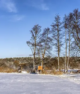 German Countryside Winter Scene Stampe: Winter landscape, fields and fields in Berlin Lubars