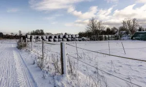 Winter Landscape Berlin Stampe: Winter landscape, fields and fields in Berlin Lubars