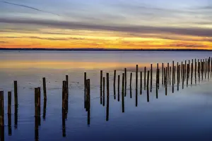Deserted Winter Landscape Photography Stampe: Winter sunset at the Dummer