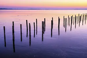 Deserted Winter Landscape Germany Stampe: Winter sunset at the Dummer