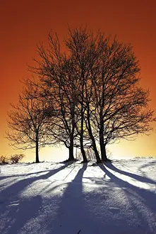 Deserted Snowy Landscape Stampe: Winterabend