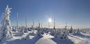 Uninhabited Frozen Wilderness Stampe: Winterlandschaft