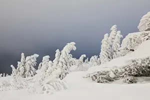 Uninhabited Frozen Wilderness Stampe: Winterlandschaft
