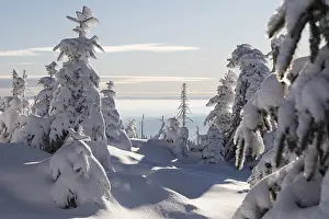 Uninhabited Frozen Wilderness Stampe: Winterlandschaft