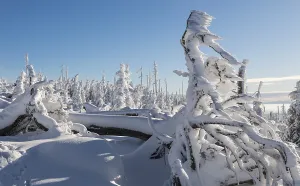 Empty Snowy Mountains Stampe: Winterlandschaft