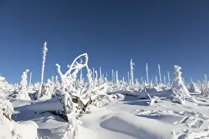Deserted Winter Landscape Stampe: Winterlandschaft