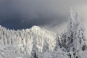 Uninhabited Frozen Wilderness Stampe: Winterlandschaft