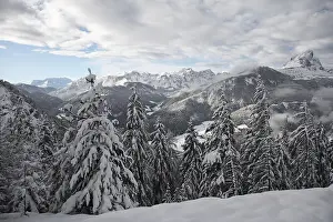 Winter Panorama Stampe: Winterly