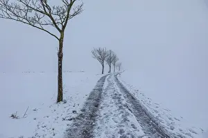 German Countryside Scenery Stampe: Wintry landscape at diffuse light in Germany