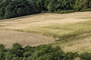 Climate Change Effects Stampe: Withered maize fields, fields, meadows