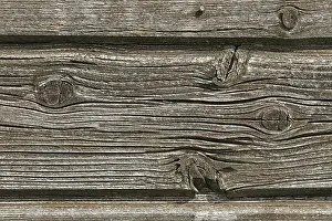 Wood Pattern Design Stampe: Wood structure