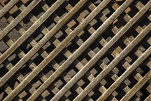 Wooden Background Texture Stampe: Wooden surface as a solid background texture