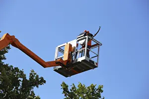 Deciduous Tree Care Stampe: Workers on the work platform pruning or maintaining trees