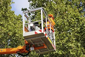 Construction Equipment Use Stampe: Workers on the work platform pruning or maintaining trees