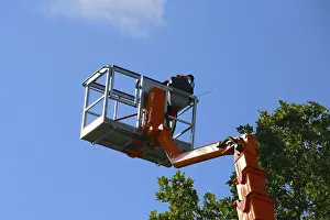 Deciduous Tree Care Stampe: Workers on the work platform pruning or maintaining trees