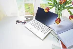 Spring Blooming Flowers Stampe: Workplace by a window with laptop