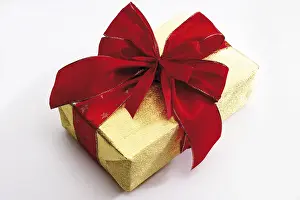 Holiday Gift Presentation Stampe: Wrapped gift or present